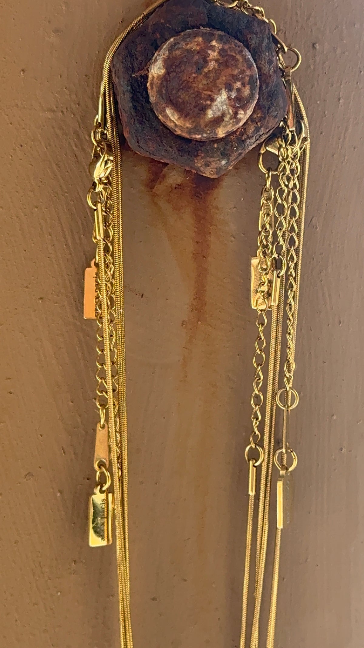 Mother of Pearl Zodiac Coin Necklace