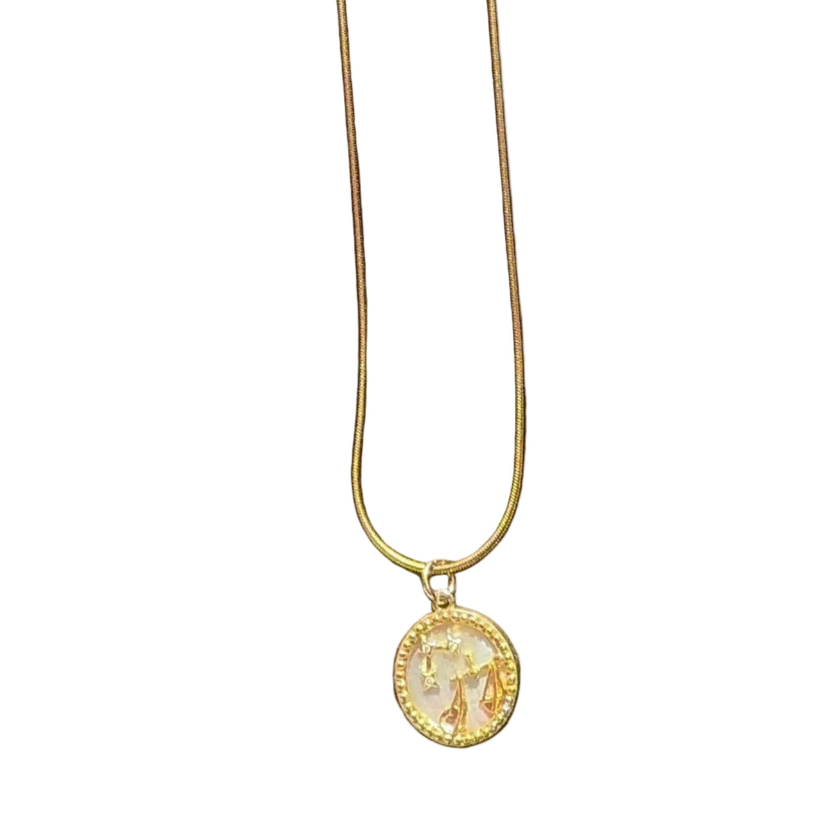 Mother of Pearl Zodiac Coin Necklace